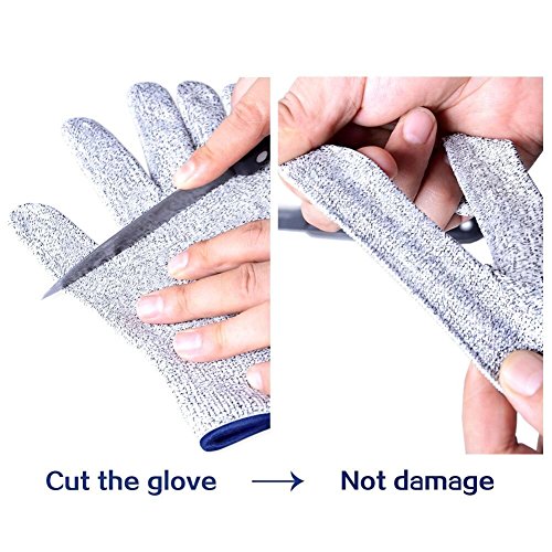 Maxfresh Cut Resistant Food Grade Kitchen & Yard-Work Gloves(Xl) #TOP3