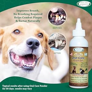 Dog Breath Freshener Herbal Dog  Cat Dental Gel 4oz  Oral Care Gel for Dogs and Cats Soften and Remove Plaque  Tartar No Brush Oral Gel for Cats Teeth and Gums Herbal Gel  Cucciolini Doodles Dog breath freshener herbal dog  cat dental gel 4oz  oral care gel for dogs and cats soften and remove plaque  tartar no brush oral gel for cats teeth and gums herbal gel   cucciolini doodles