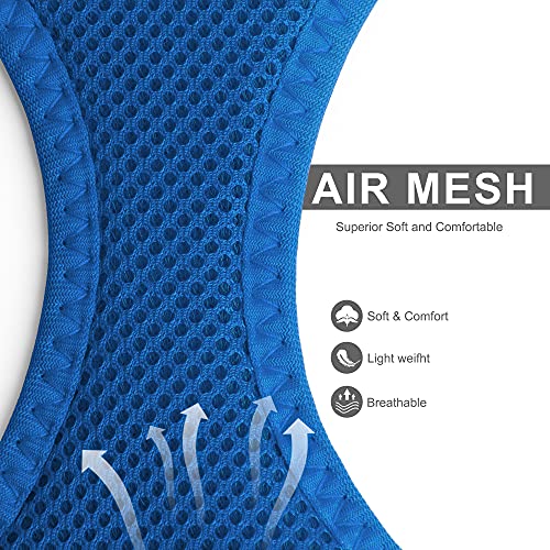 Fida Cat Harness And Leash Set For Walking Kitten And Puppy, Escape Proof Kitten Harness With Breathable Lightweight Soft Mesh, Adjustable Reflective Step-In Design For Kitten And Puppy.(Xxxs, Blue) #TOP2