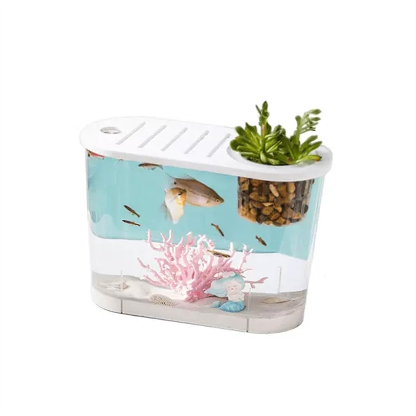 Transparent Aquarium Petit Micro Paysage Transparent Aquarium Grand Écologique Maison avec Couvercle Bureau Ovale Peut être Planté Plantes Aquatiques Goldfish(Petit)