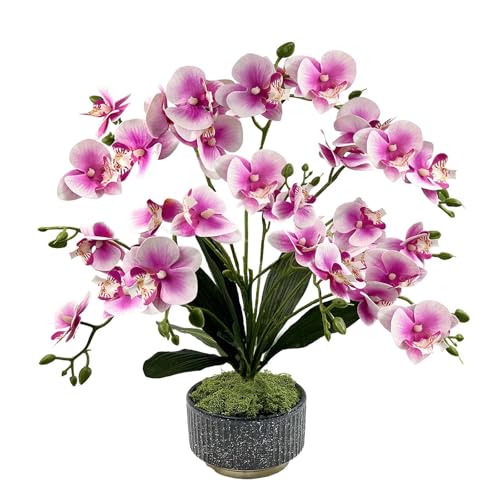 Daily Treasures 33-Heads Artificial Orchid Flower in Pot,56cm Faux Butterfly Orchid with Ceramic Vase, Potted Pink Flowers,Silk Flowers Phalaenopsis Indoor Decor for Home Table (Ceramic Pot/Purple)