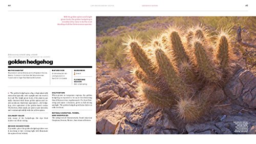 The Gardener's Guide to Cactus: The 100 Best Paddles, Barrels, Columns, and Globes