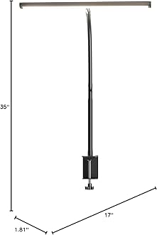 Airlonv LED Desk Lamp for Office Home, Eye-Caring Desk Light with Stepless Dimming Adjustable Flexible Gooseneck, 10W USB Adapter Desk Lamp with Clamp for Reading, Study, Workbench (Black)