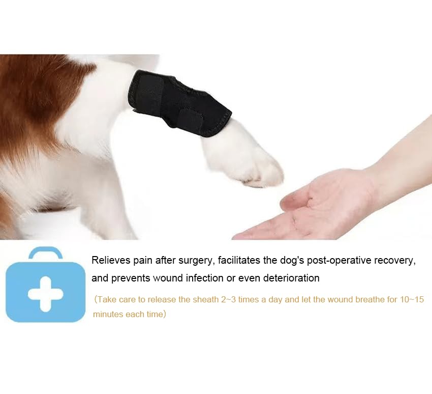 Image of Anosiar Dog Rear Leg Hock Brace, Pair of Canine Dog Leg Joint Wraps Compression Brace Protects Wounds, Heals and Prevents Injuries and Sprains Helps with Loss of Stability Caused by Arthritis (XL)