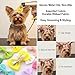 QingHan Hair Bows for Small Dog - 2 inch Pet Bowknots 60pcs (30 Pairs) - Puppy Dogs Grooming Hair Accessories - Dog Hair Clips for Yorkie, Maltese, Shih Tzu