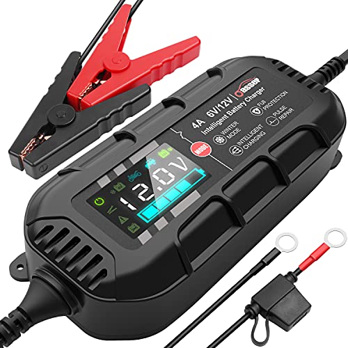 Oasser Car Battery Charger 6/12V Automatic Battery Charger Maintainer Portable Intelligent Smart Charger with 11-Stage Pulse Repair Charger for Car Truck Motorcycle Lawn Mower Boat(Black)