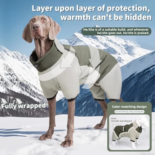 Combinaison imperméable et coupe-vent pour grand chien - 7
