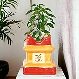 Tulsi Ceramic Plant Pots, Flower Pot,Decorative Modern Indoor Planters, Home Garden Decor for Living Room Bedroom Interior