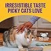 Wellness Complete Health Gravy & Minced Adult Wet Cat Food, Natural, Protein-Rich, Grain-Free, 3 Ounce, 24 Pack, (Chicken & Turkey Lovers Variety Pack)