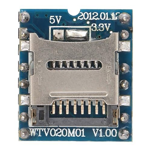 WTV020SD Mini sche di memoria Modulo Mp3 Supporto 32 MB-1 GB per pic