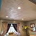 À LA MAISON CEILINGS R187 Vectors Foam Glue-up Ceiling Tile (21.6 sq. ft./Case), Pack of 8, Plain White