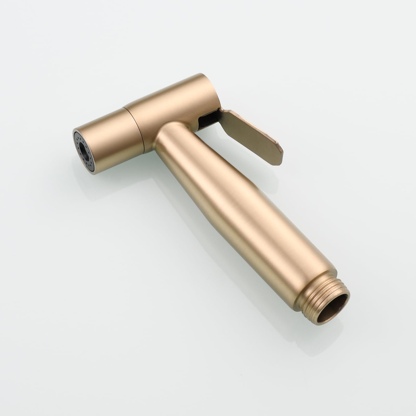 Tecmolog Acier Inoxydable Douchette WC Kit en Bidet Portable Tuyau de Douche Eau Chaude et Eau Froide Bidet Toilette Kit Complet, Or Brossé, WS024J2F2