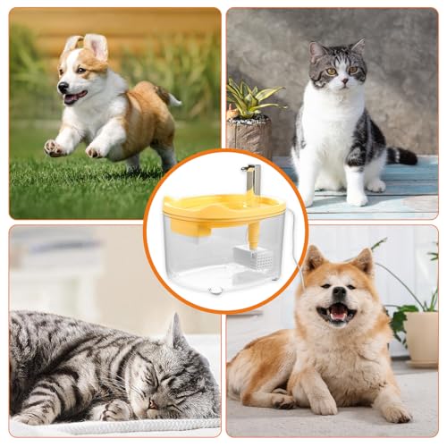 Fuente de agua para gatos inalámbrica y con batería 1.5L miniatura 6