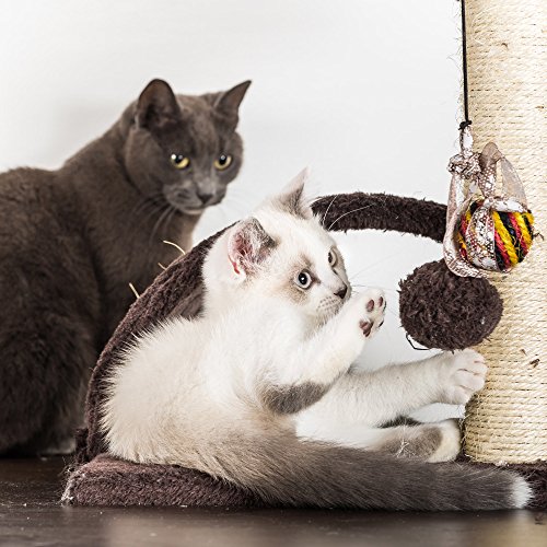 Torre para Gatos de 4 Niveles, con 3 Perchas y Rascadores miniatura 6
