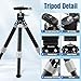 Carbon Fiber Mini Table Tripod with 360° Ball Head for Camera, Lightweight Desktop Tripod with Panoramic Base, 1/4