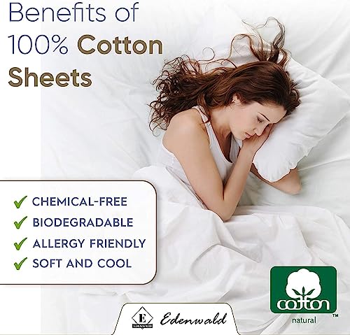 Image of Bed Sheet Single Size Cotton Single Size Bedsheet with 1 Pillow Cover - White Stripe 600 Thread Count - Cotton Bed Sheet