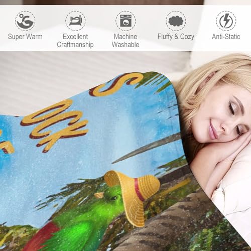 Couverture de plage légère pour vos pique-niques et soirées d'été cosy - 5