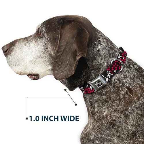 Collier de chien pour balade et éducation réglable de 9 à 38 cm