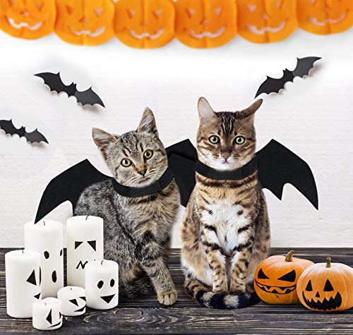 Disfraz Halloween Alas de Murciélago para Perro Grande miniatura 6