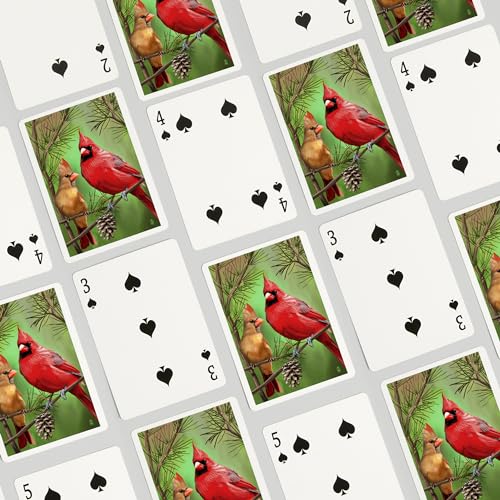 Cartas Lantern Press Cardinals in Summer, 52 cartas póker miniatura 4