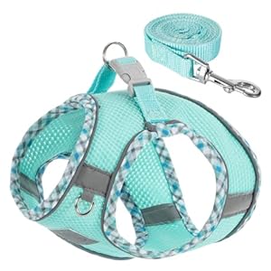 Dog Harness and Leash Set, No Pull Pet Harness for Small Dogs Easy Walking,Soft Breathable Small Dog Harness,Adjustable Reflective Step in Vest Harness for Puppy,Kitten, Cats