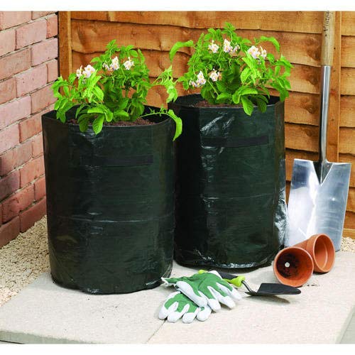 ZEONELY MART Grow Bags for Home Garden | LDPE UV Resistant Poly Grow Bags for Terrace Gardening | Nursery Bags for Vegetable and Flowering Plants | Black Coloured 5x6 Inch Plant Bags -100 Pieces (B08DVFNTLF) Amazon Price History, Amazon Price Tracker