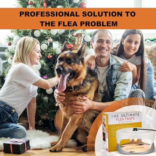 Image of 4 Packs Flea Traps for Inside Your Home, White, Gray