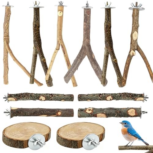 12 Piezas Juguetes para Loros Set Texturizadas Antideslizantes Formas de Madera Variadas Accesorios Universales Juguetes para Agapornis para Jaula Adecuado para Aves Domésticas Loro