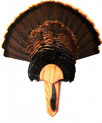 HES Universal Mounting Tabs - Mount inside hollow metal and aluminum jambs