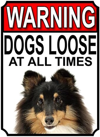 ALL BREEDS - BEWARE DOGS LOOSE AT ALL TIMES METAL SIGN GERMAN SHEPHERD 200MM X 150MM (998H1)