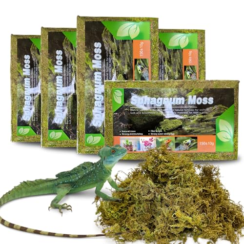 BNOSDM Natural Sphagnum Moss