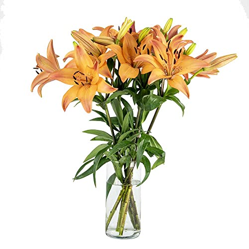 Stargazer Barn -Autumn Lily Bouquet - Vibrant orange royal lilies - Vase Included