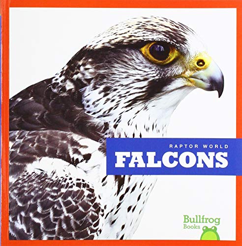 Falcons (Bullfrog Books: Raptor World)
