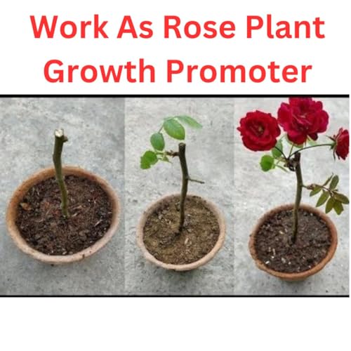 Image of epsom Salt for Plant 1kg - Growth Supplement Fertilizer for Plants, Organic Magnesium Sulphate Growth Booster Fertilizers for Gardening Indoor & Outdoor Plants, Crystal