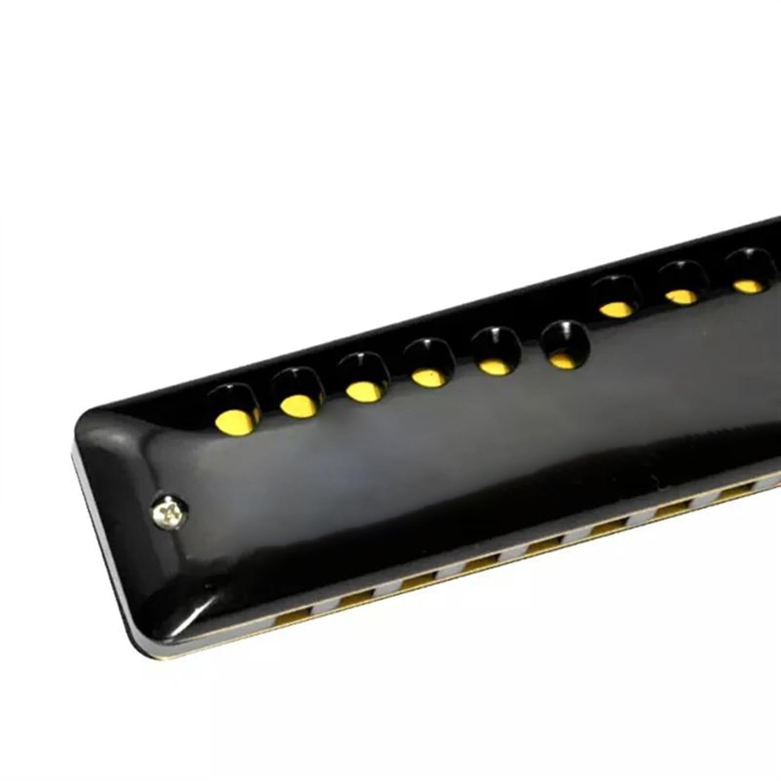 Armonica Armonica diatonica a 10 fori Blues Harp tonalità di Do