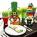 St. Patrick's Day Gnomes Irish Leprechaun Tomte for March Saint Paddy's Day Gift Rainbow Nisse Handmade Scandinavian Folklore Shamrock Elf Dwarf Home Household Kitchen Tiered Tray Decorations Set of 2