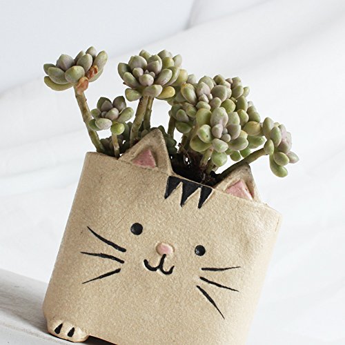 Yournelo Crude Pottery Cute Animal Plant Flower Pot Succulent Planters Vase (Cat 1) #TOP1