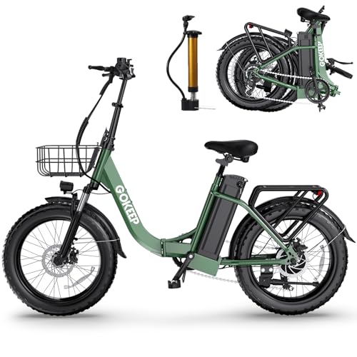 GOKEEP Electric Bike for Adults with 1300W Peak Power, 676WH