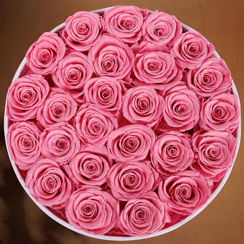 27 Flowers in a Luxury Suede Box, Birthday Gifts for Women, Preserved Flowers, Mothers Day Roses Gift for Mom, Light Pink