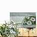 Outsidepride Marsh Mallow Herb Plant Seed - 1000 Seeds