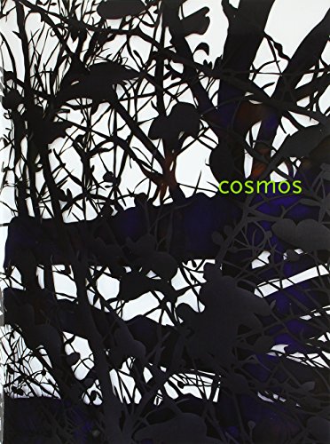 Preisvergleich Produktbild Cosmos - Heike Weber