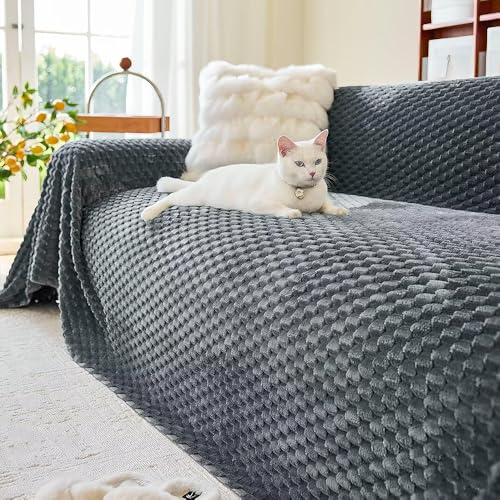 \t@[Jo[ \t@Jo[ [xbh ~p g }` ~ Ȃ JE` xbh J[ybg ho h~ 唻 􂦂 ȒP _[NO[i~ߕtj 180*260cm