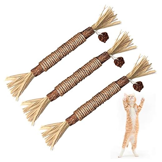 BAWAN Catnip Toys‖ Silvervine for Cats: Cute Cat & Kitten Toys for Indoor Cats Interactive‖ Cat & Kitten Teething Chew Toys for Aggressive Chewers‖ Silvervine Sticks Cat Dental Toy (3PCS)