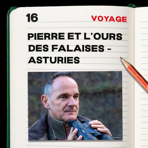#16. Pierre et l'Ours des falaises
