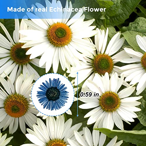 Flores Secas Presionadas Azules para Resina 60 Piezas miniatura 2