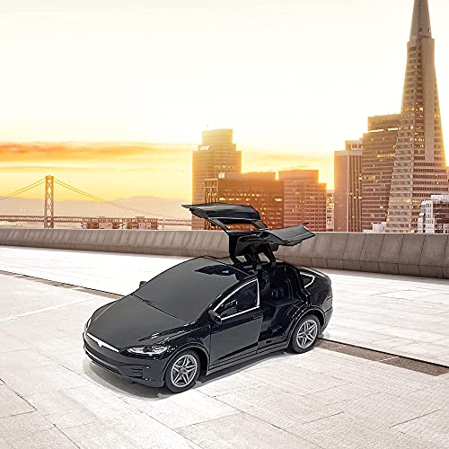 T-Power! Dynamic Remote Control Car 1:24 Scale Rc Vehicle Great Gift For Children Remote Control Car Model With Falcon Door In Black Color #TOP6