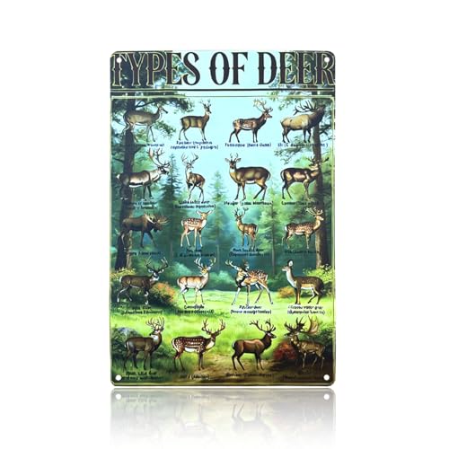 Rustic Types of Deer Metal Sign, Vintage Farmhouse Wall Art Tin Sign - Hunting Decor & Educational Poster for Farmhouse, Hunters,Wildlife Biologists,Teachers Cabin Owners 8x12 Inches