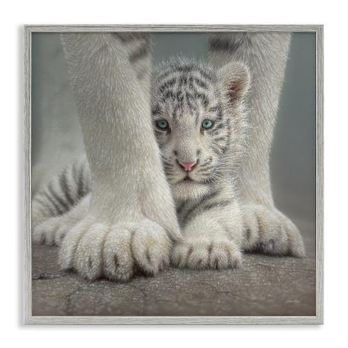 White Bengal Tiger Mother and Cub, 24 x 24 Inch Framed Giclée Print