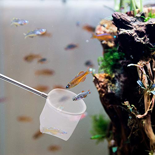 Upettools Fish Shrimp Skimming Net Fine Mesh Extendable Stainless Steel Handle Fishing Net For Aquarium Fish Tank Pond Creek #TOP3