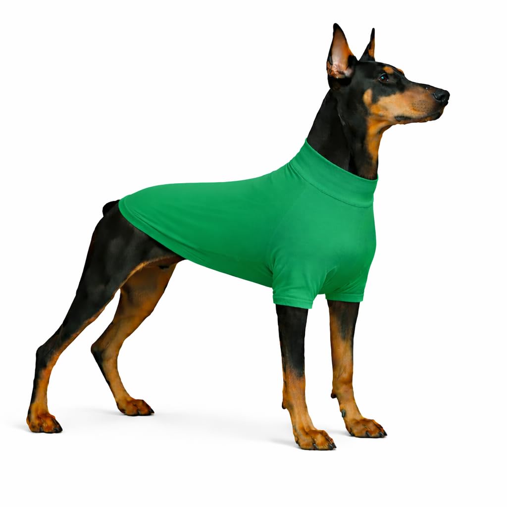 T-shirt rafraîchissant pour chien idéal pour les randonnées estivales en taille 3XL